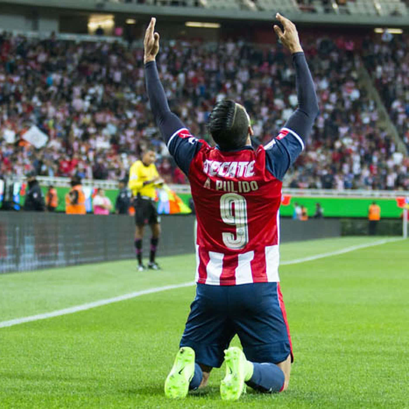 Alan Pulido Kneeling Celebration Wallpaper