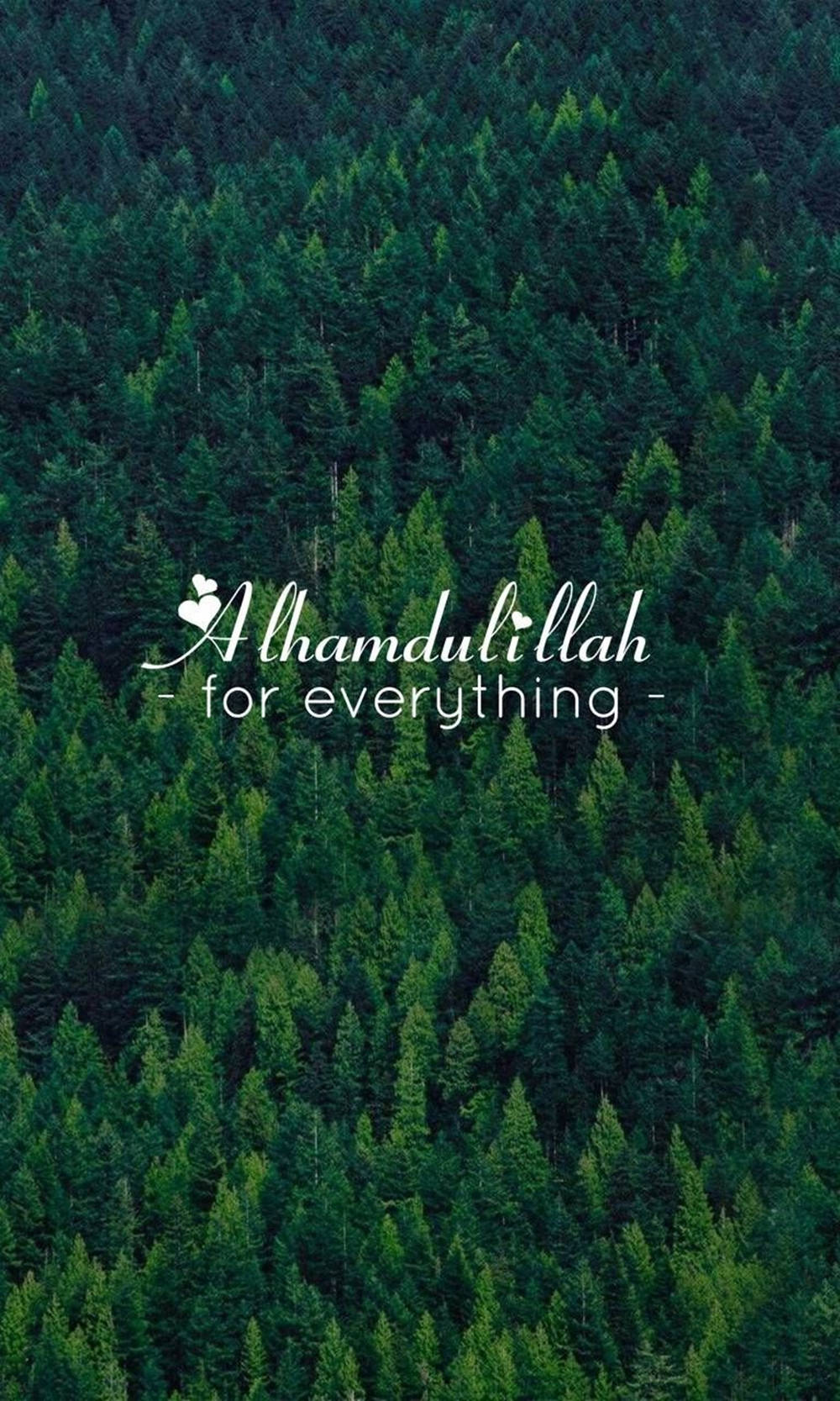 Alhamdulillah Evergreen Trees Wallpaper