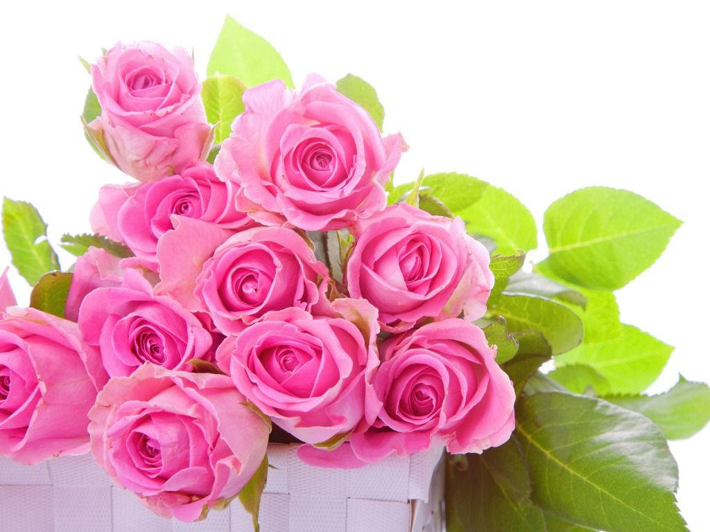 Alluring Bouquet Of Pink Roses Wallpaper