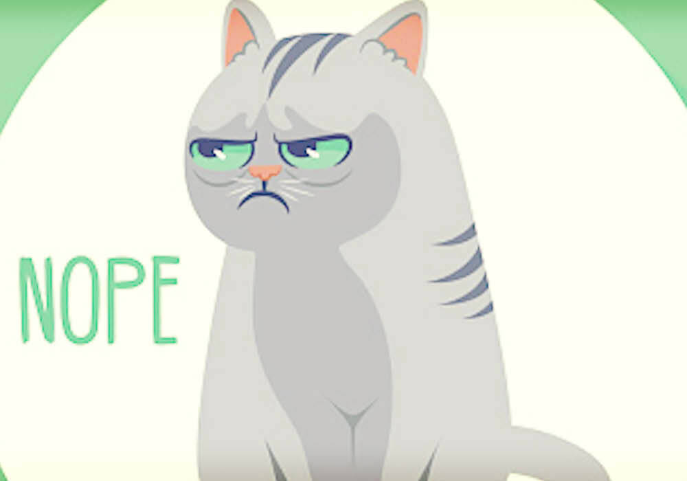 Aloof Cat Saying Nope Wallpaper