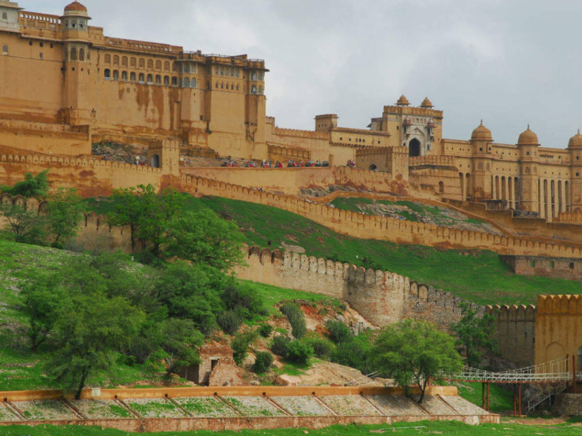 Amber Palace Jaipur With Trees Wallpaper