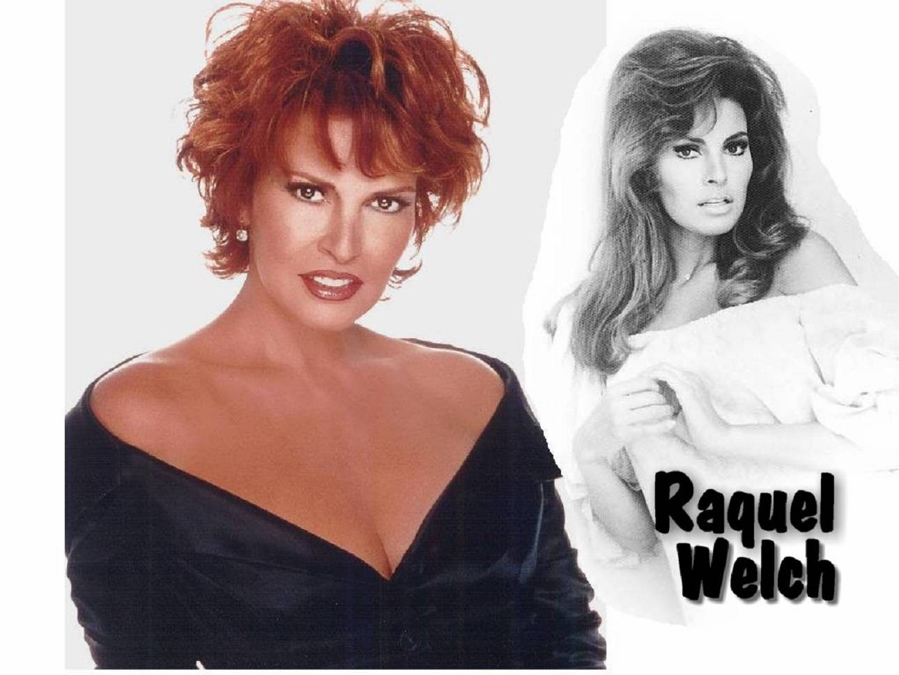 American Actress Raquel Welch Illustration Wallpaper