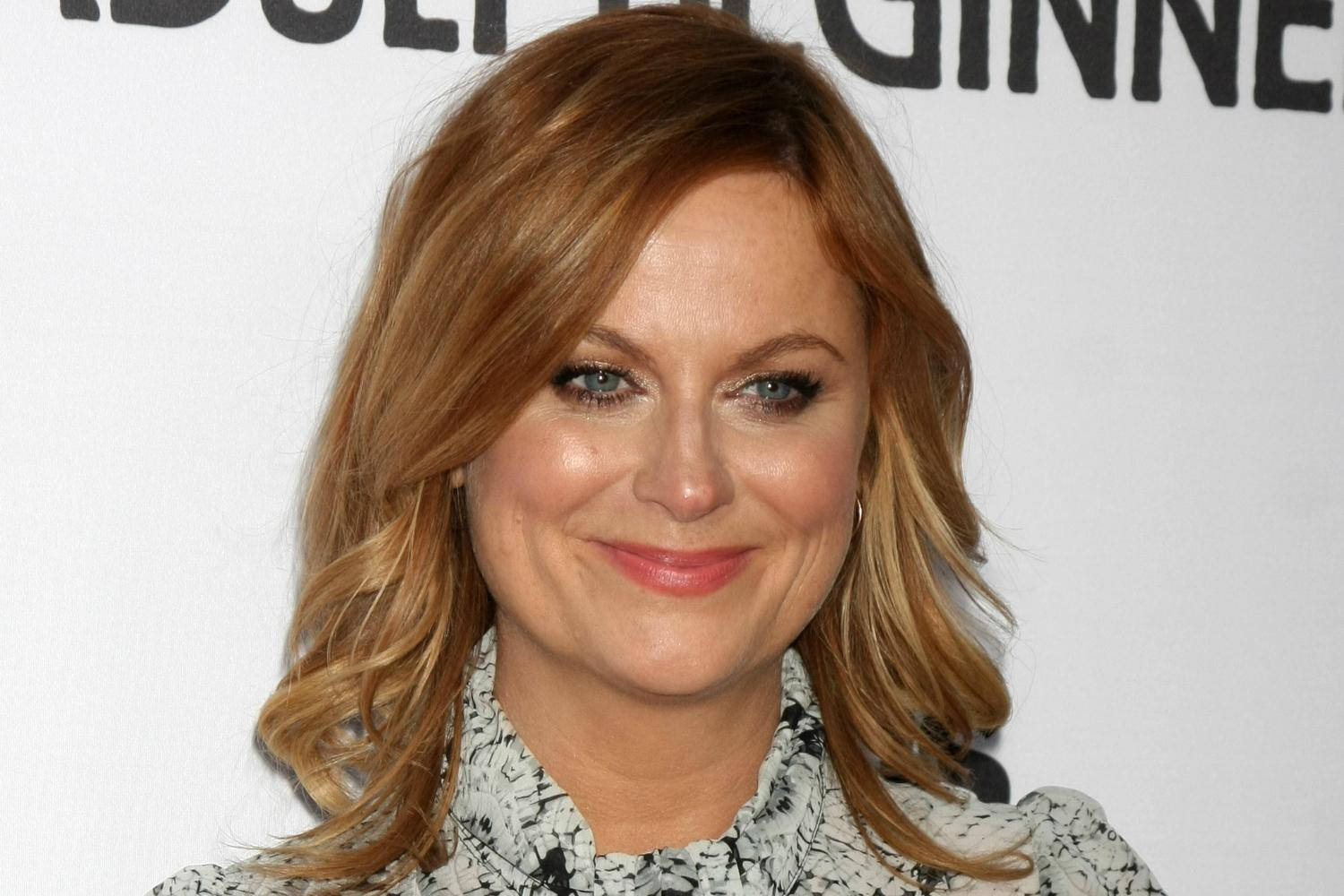 Amy Poehler Award Winning Actress Wallpaper