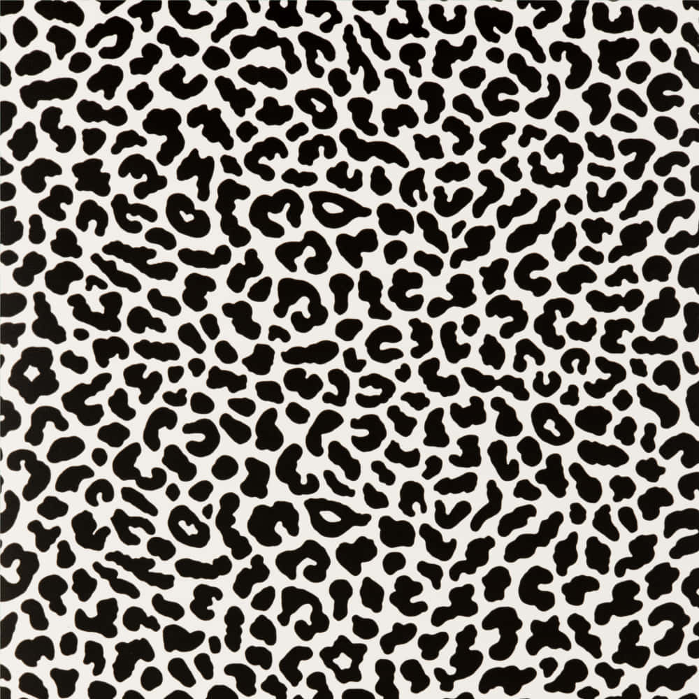 An Alluring Black And White Animal Print Wallpaper. Wallpaper