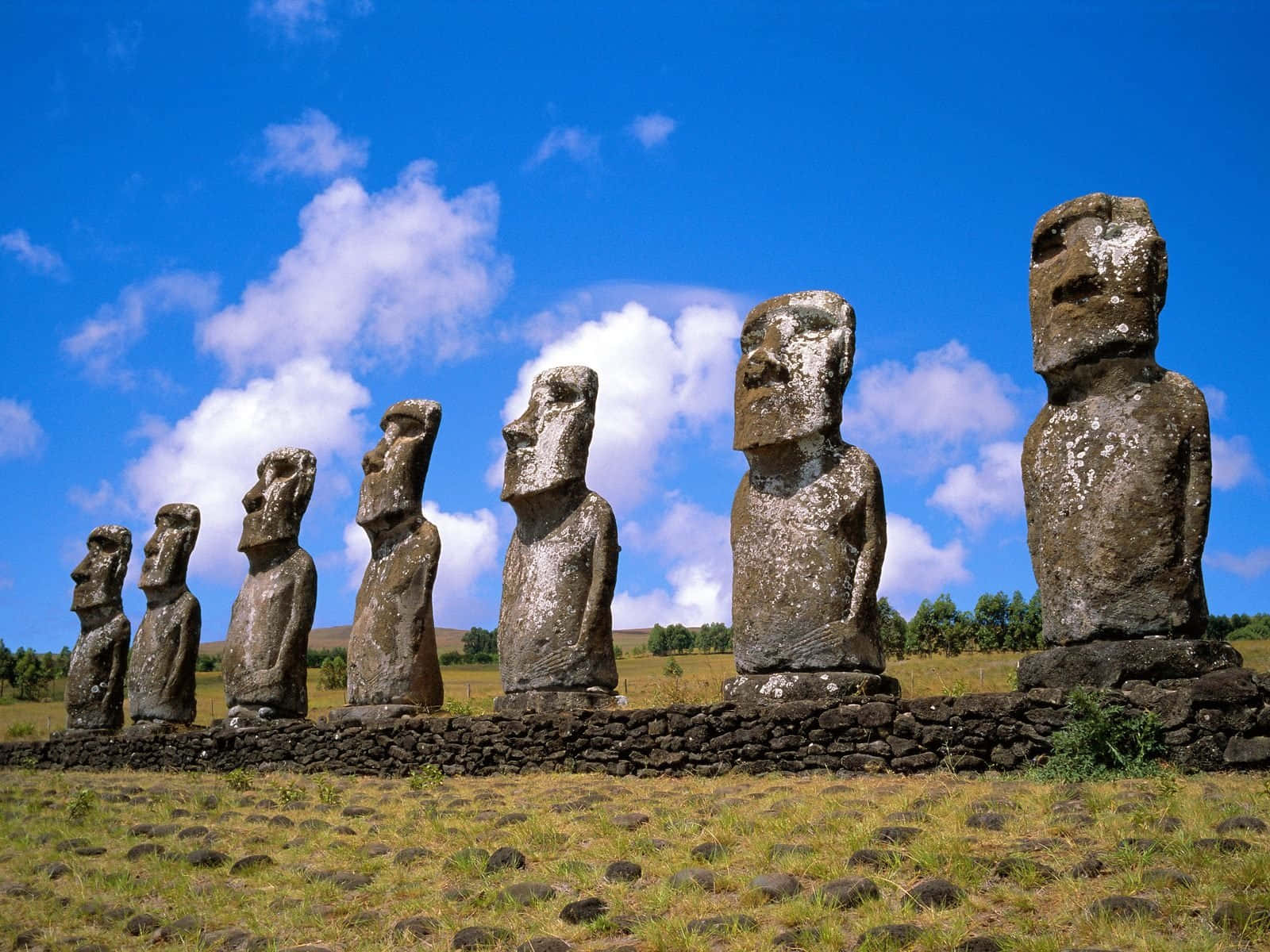 Ancient Moai Statues At Ahu Akivi, Chile Wallpaper
