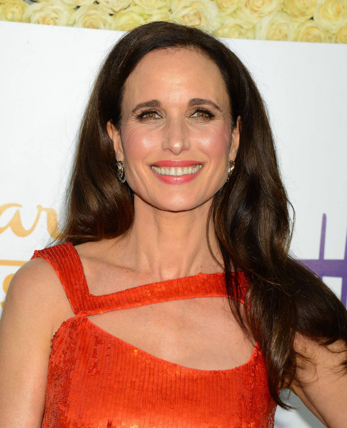 Andie Macdowell Hallmark Actress Summer Tca 2015 Wallpaper