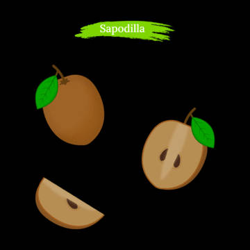 Animated Sapodilla Fruits Wallpaper