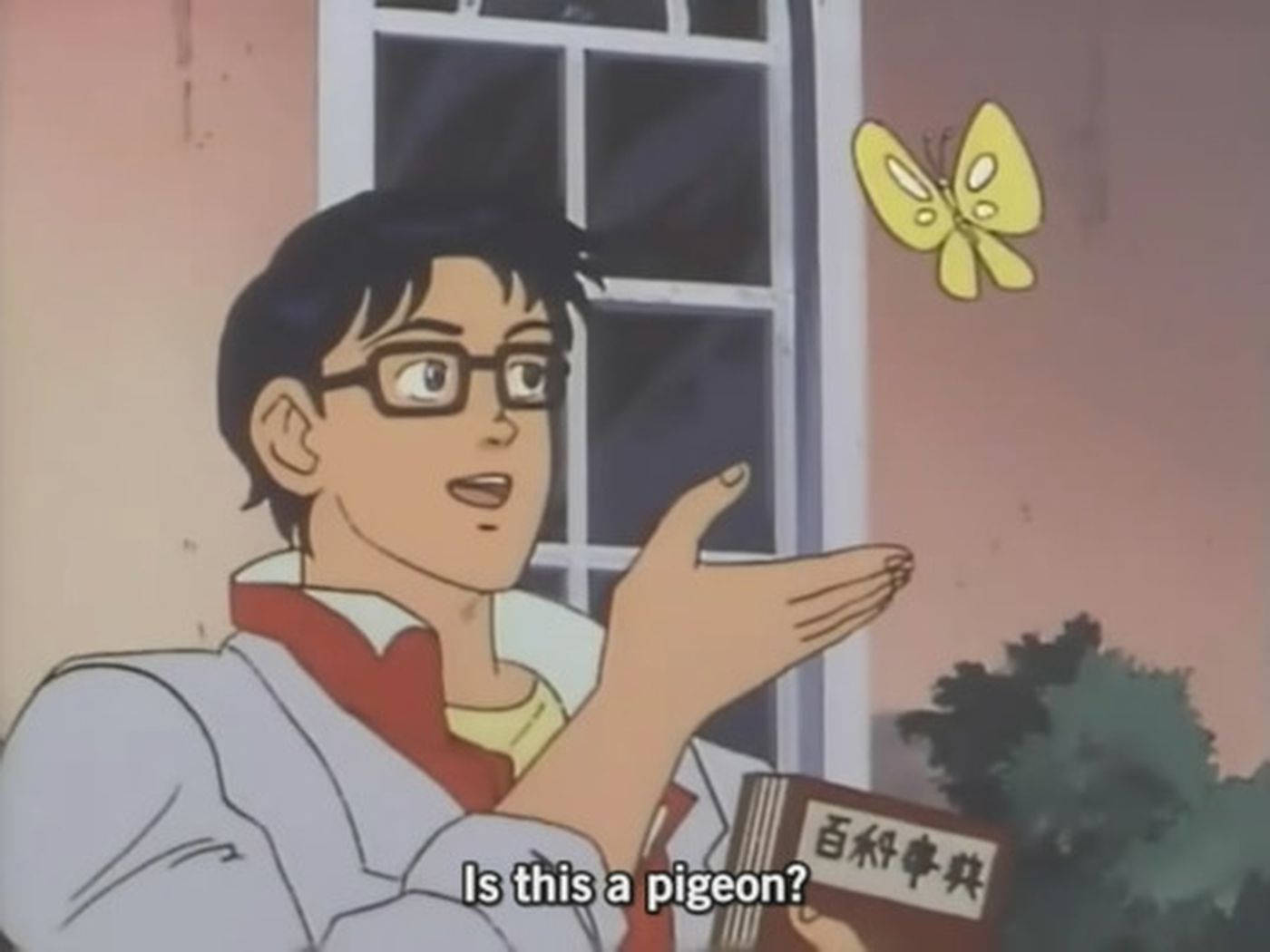 Anime Meme Pfp Butterfly Pigeon Guy Wallpaper