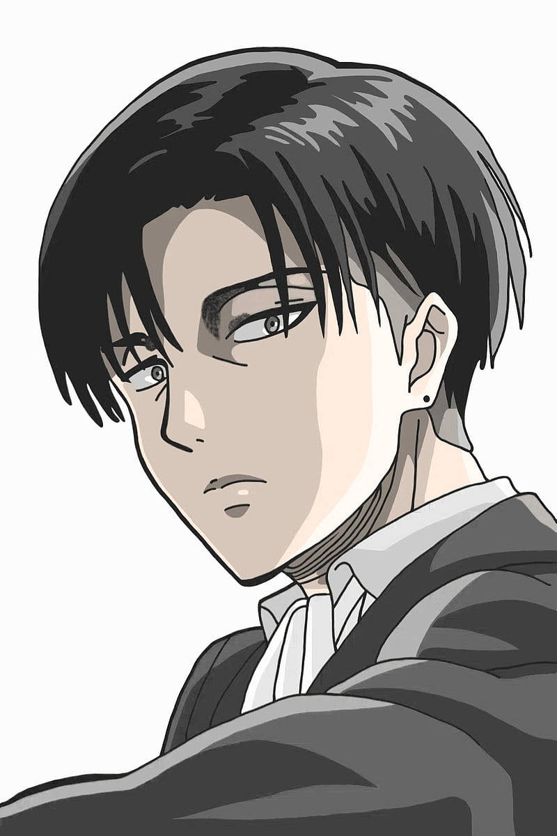 Anime Profile Picture Of Levi Ackerman Wallpaper