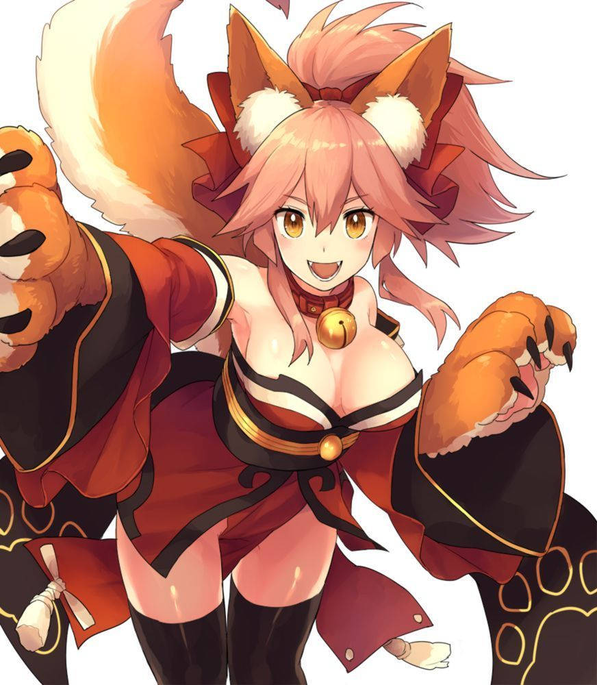 Anime Waifu Tamamo Cat Fate Grand Order Wallpaper