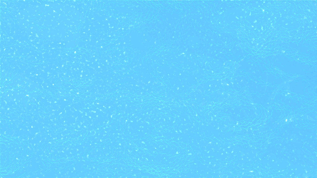 Arctic Blue Plain Color Wallpaper