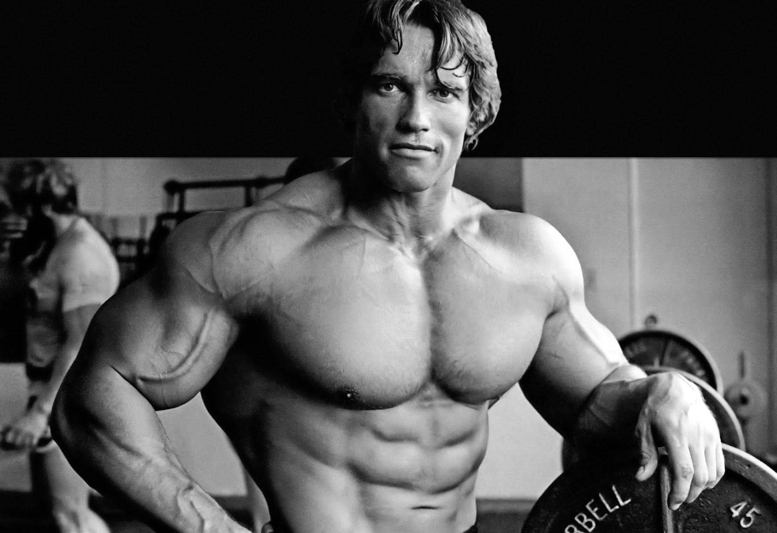 Arnold Schwarzenegger In His Classic 