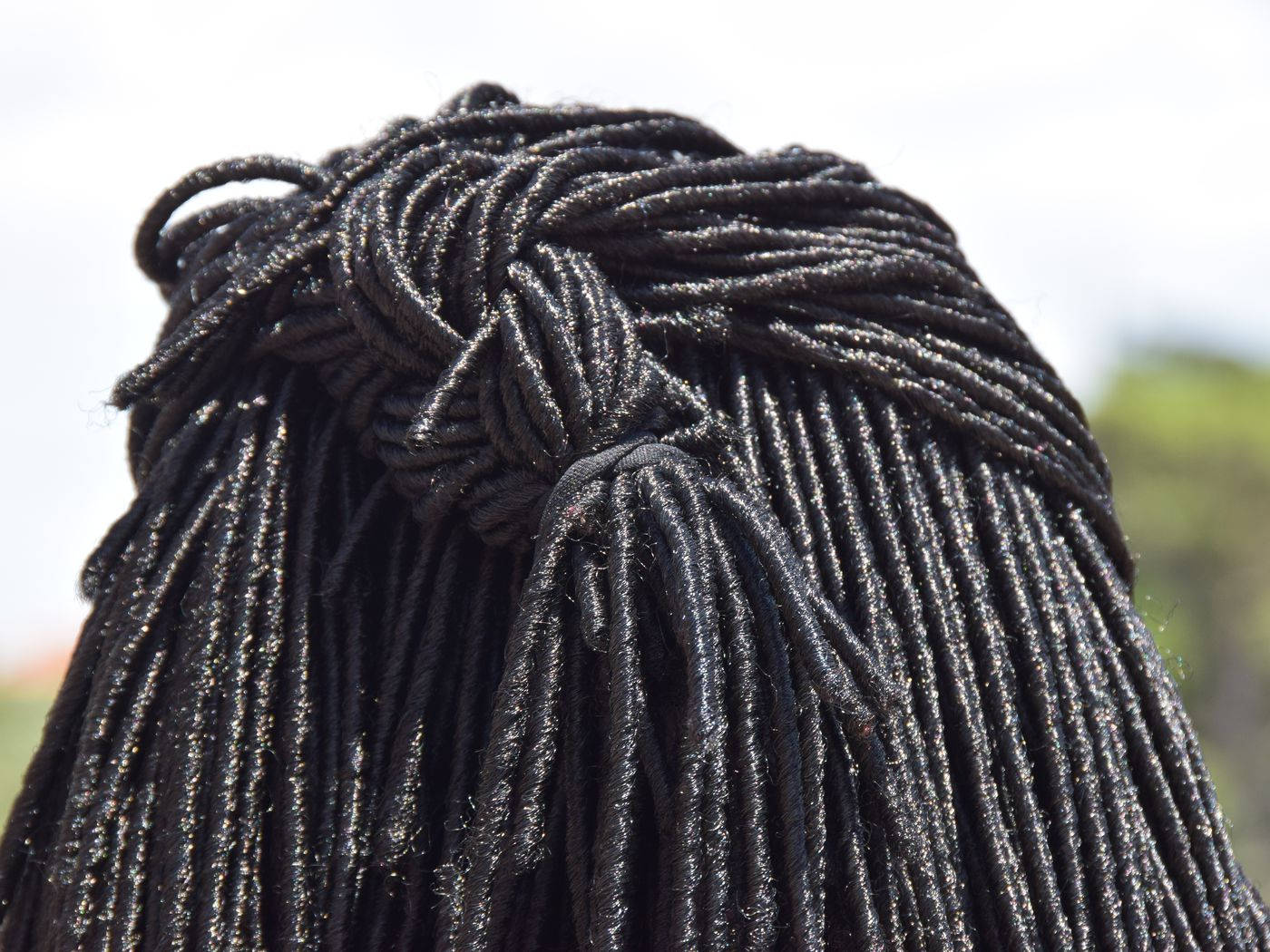 Artistry Of Dreadlocks - A Back View Wallpaper