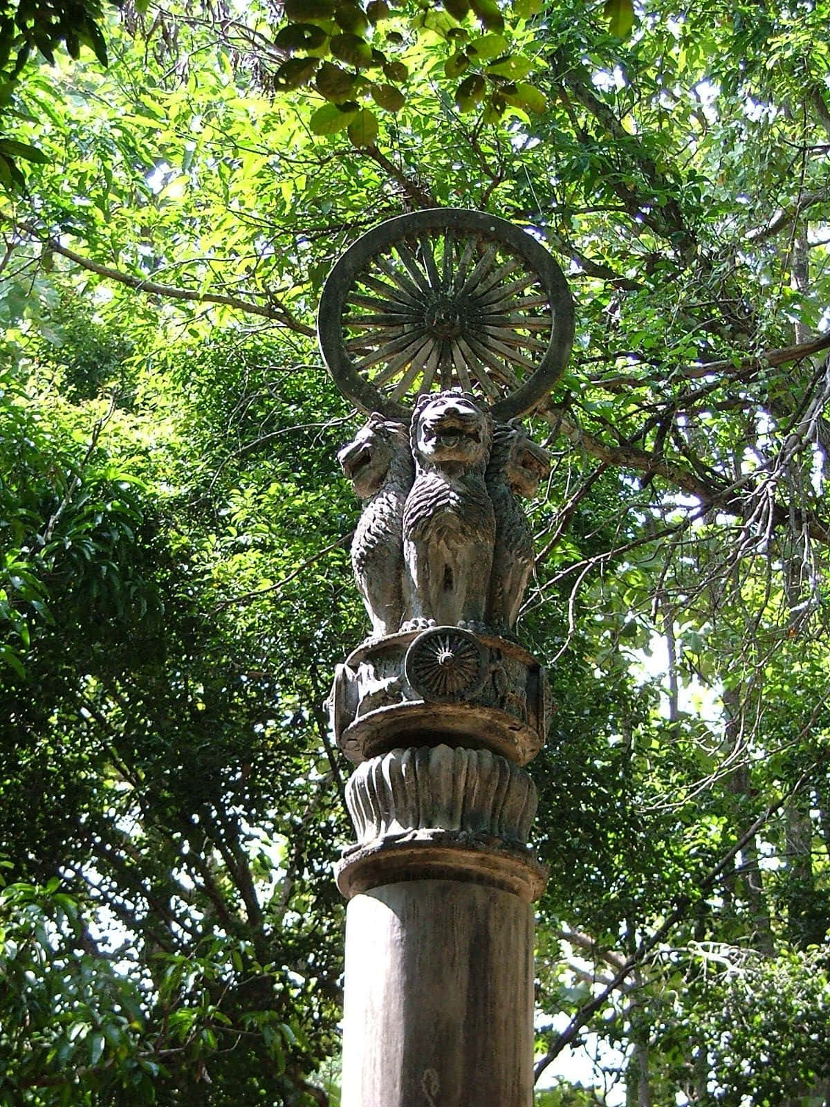 Ashoka Pillar Surrounded By Trees Wallpaper