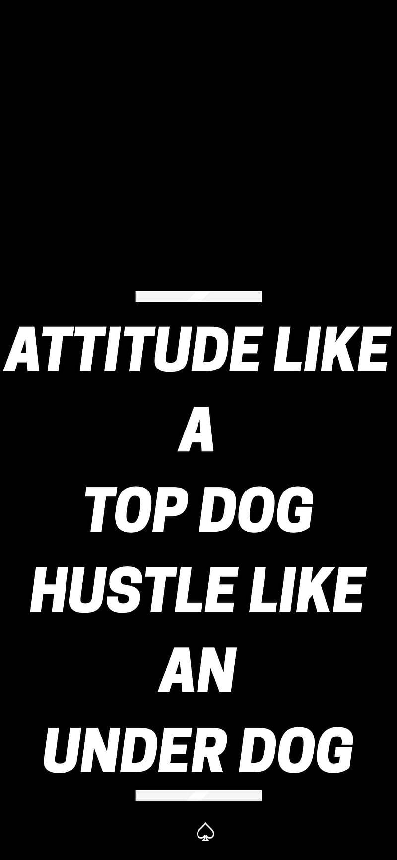 Attitude Like A Top Dog Hustle Like An Underdog Wallpaper