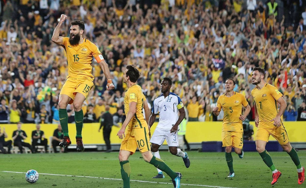 Australia National Football Team Mile Jedinak Wallpaper