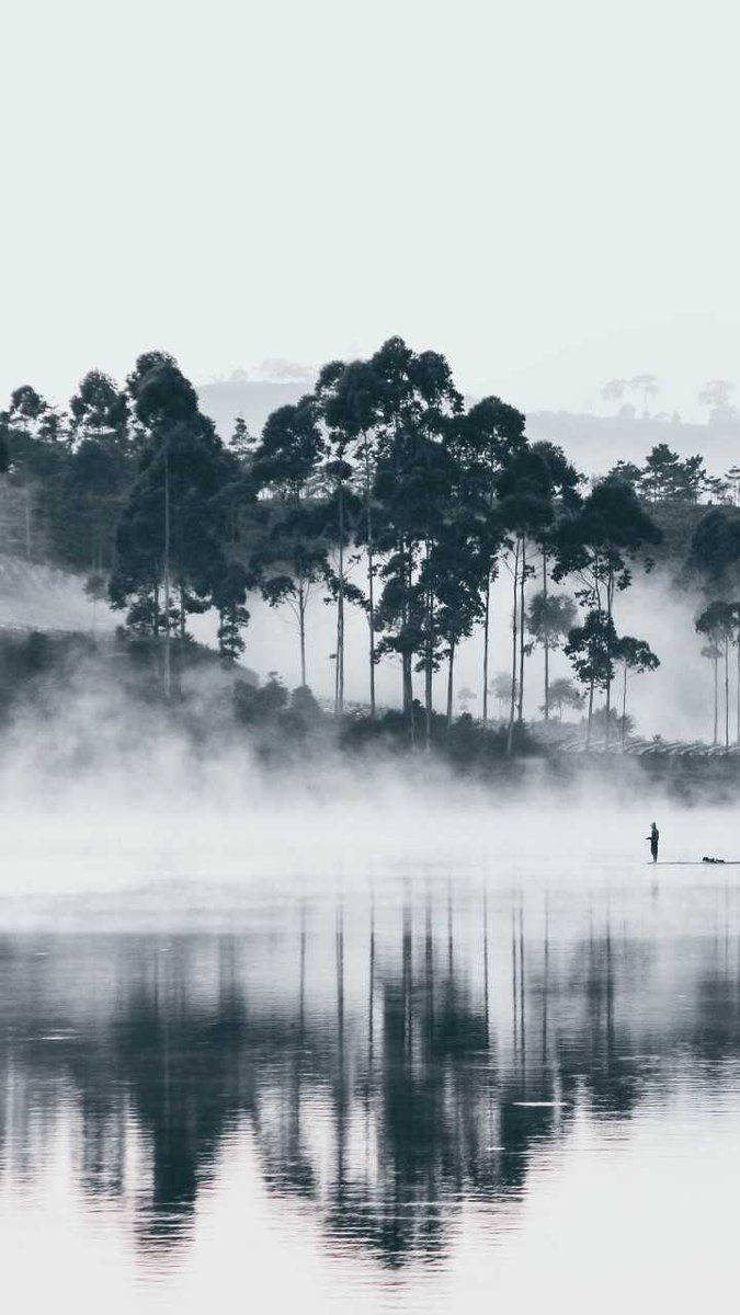 Authentic Foggy Lake Wallpaper