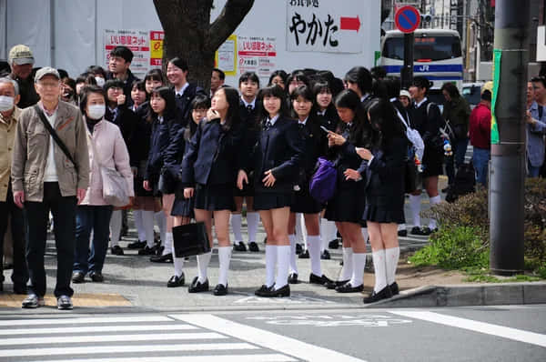 Authentic Snapshot Of Japanese Schoolgirls On Streets Wallpaper