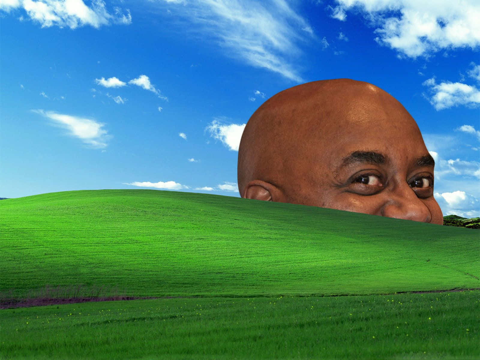 Awkward Windows With Bald Man Wallpaper