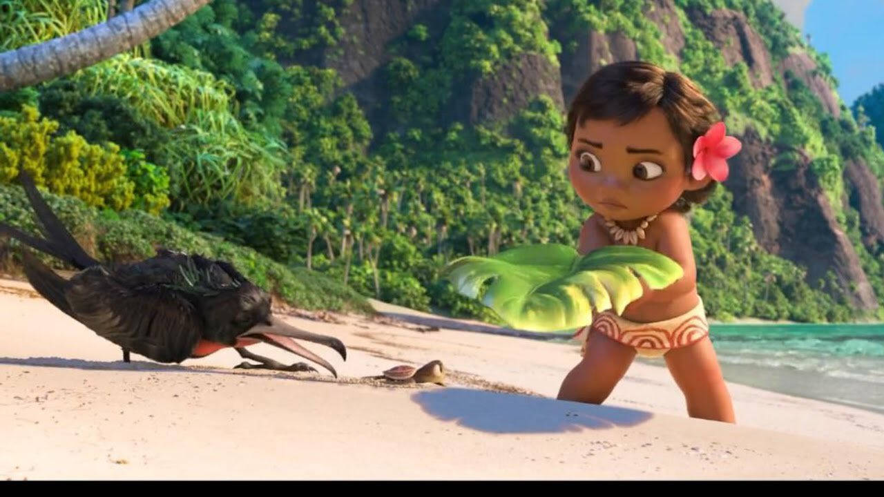 Baby Moana And Frigate Bird Wallpaper