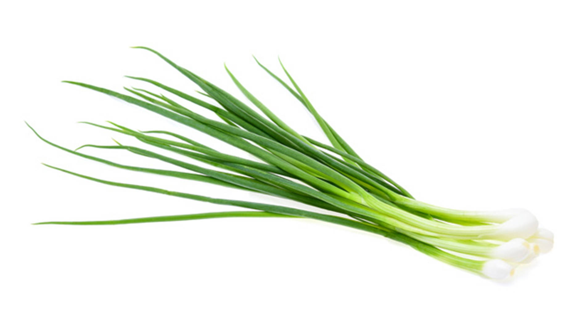 Bare Long Leaf Green Onions Wallpaper