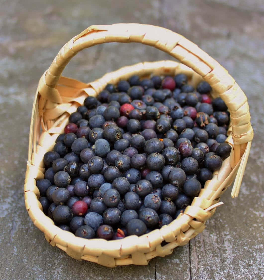 Basketof Huckleberries Wallpaper