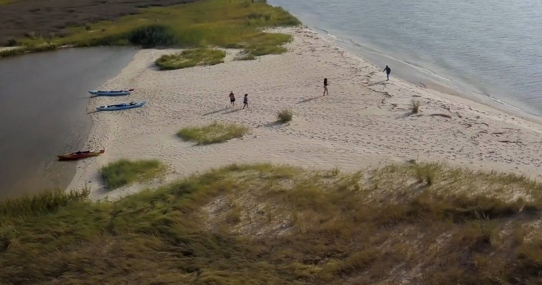 Beach Grasses At The Chesapeake Bay Wallpaper