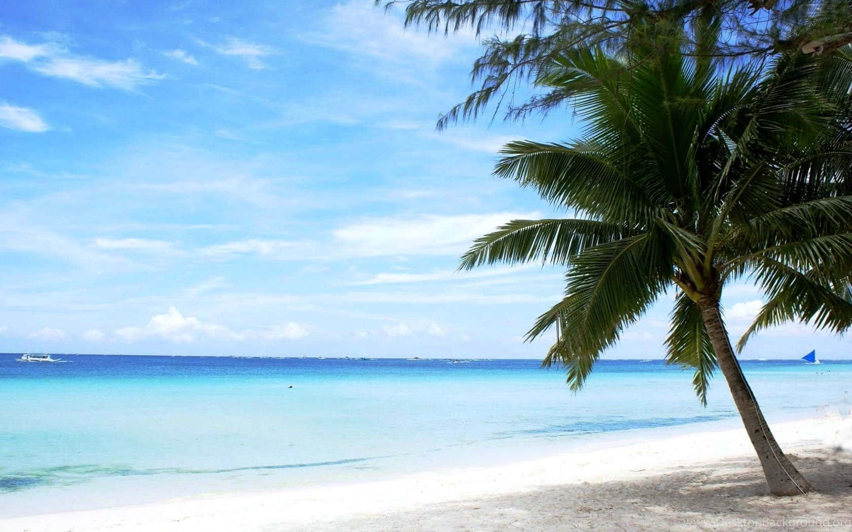 Beach Scene White Sand Blue Waters Wallpaper