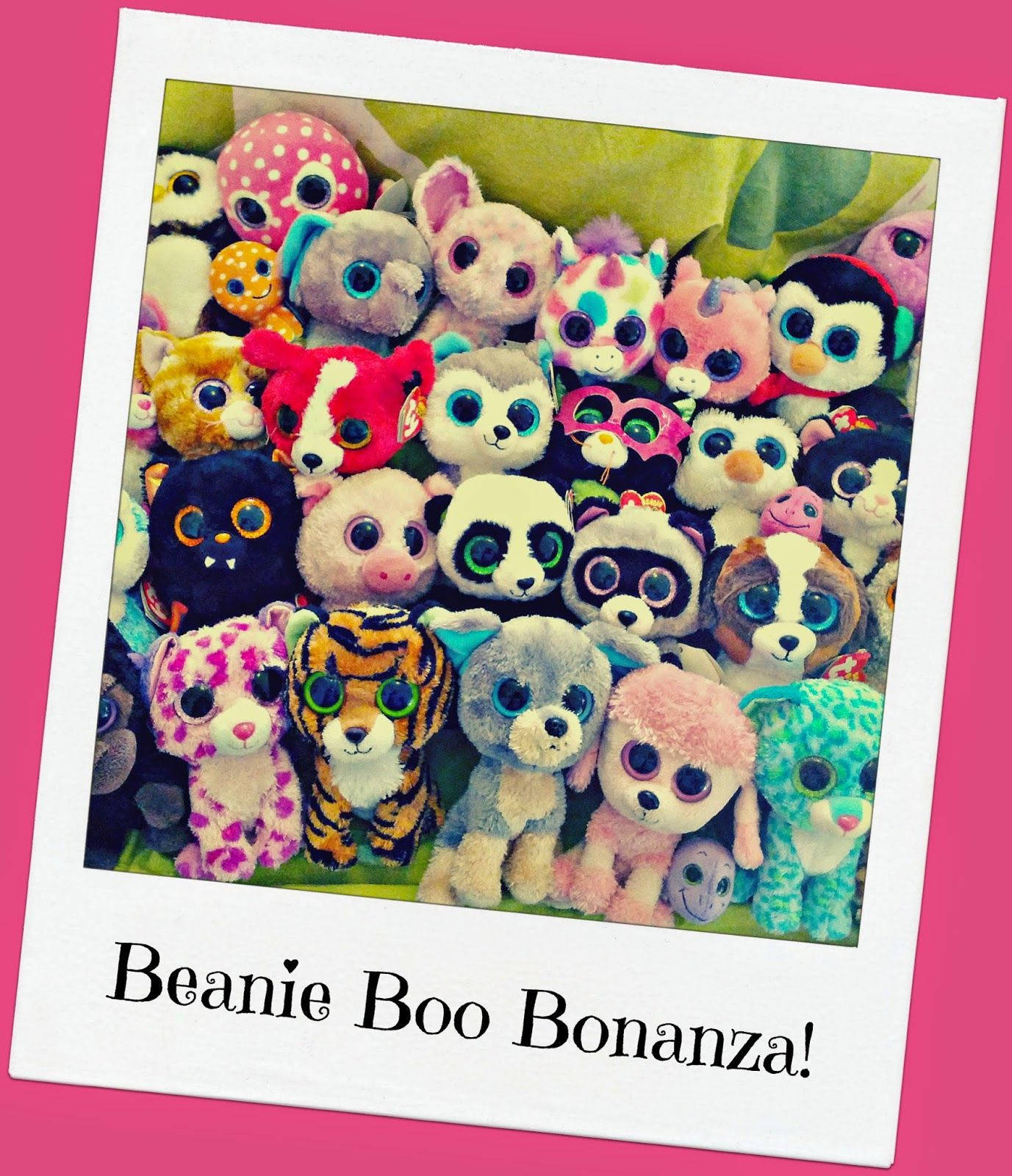 Beanie Boos Polaroid Wallpaper