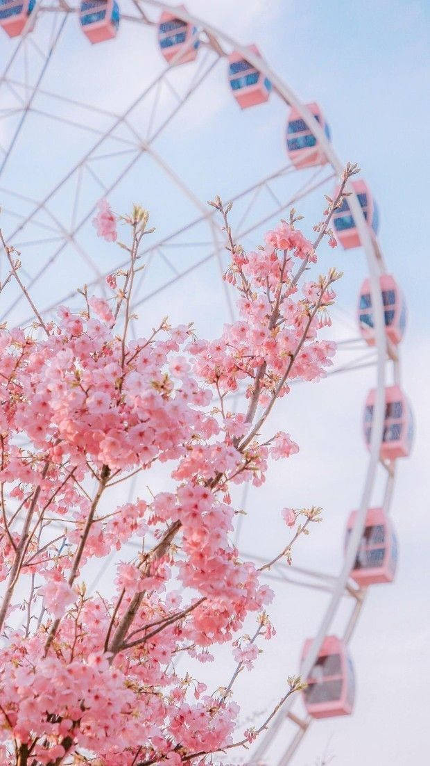 Beautiful Aesthetic Spring Screen Iphone Wallpaper