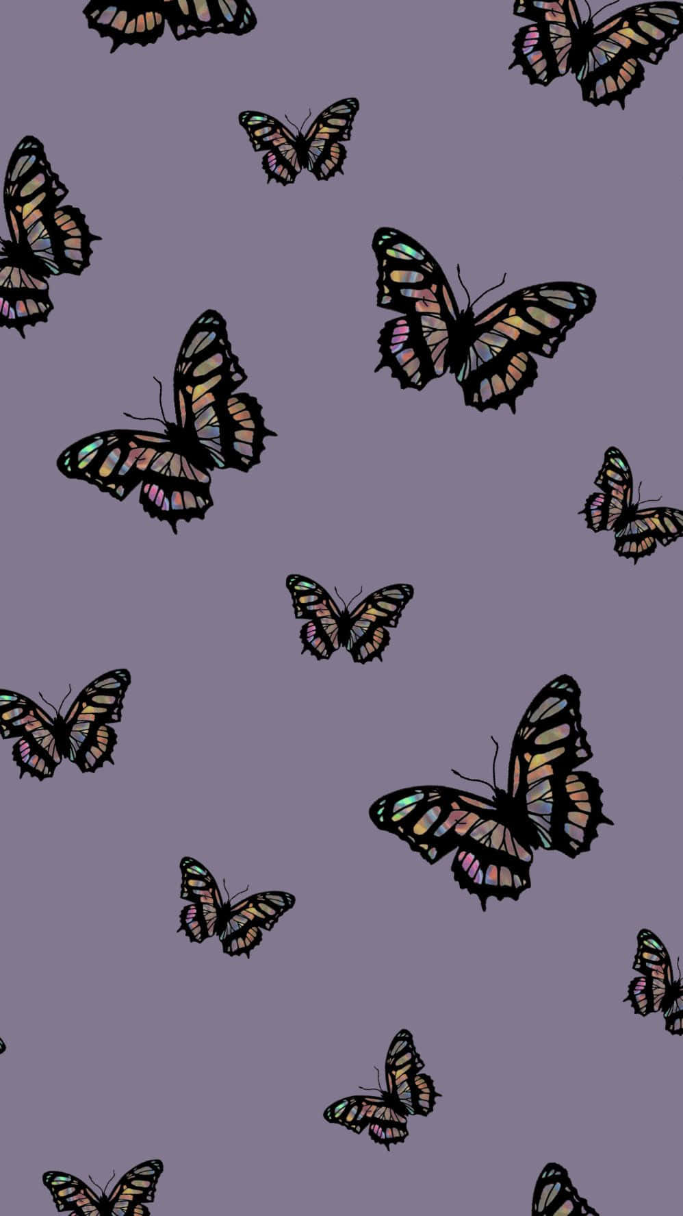 Beautiful Purple Butterfly On Iphone Wallpaper