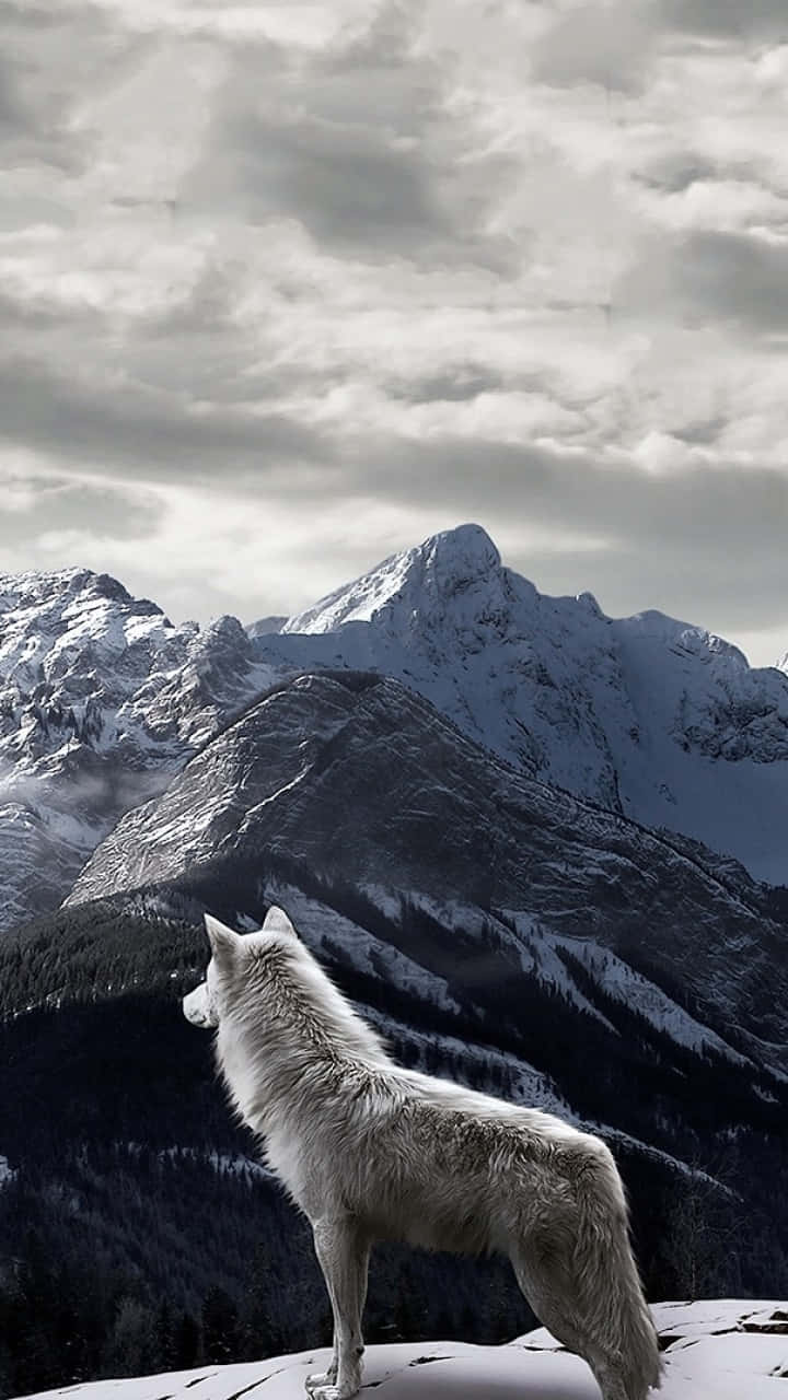 Beautiful Spirit Of Nature Wallpaper