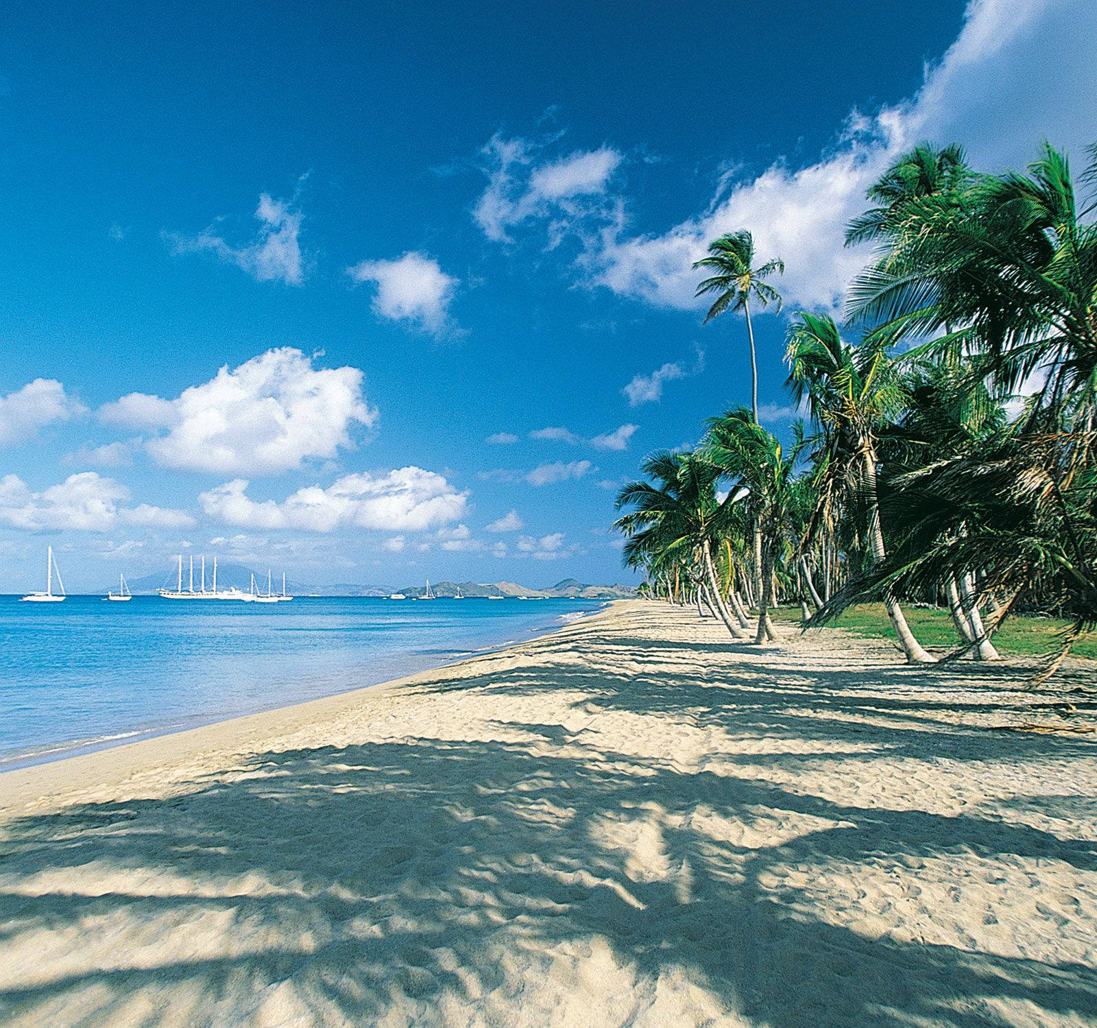 Beautiful St. Kitts And Nevis Beach Wallpaper