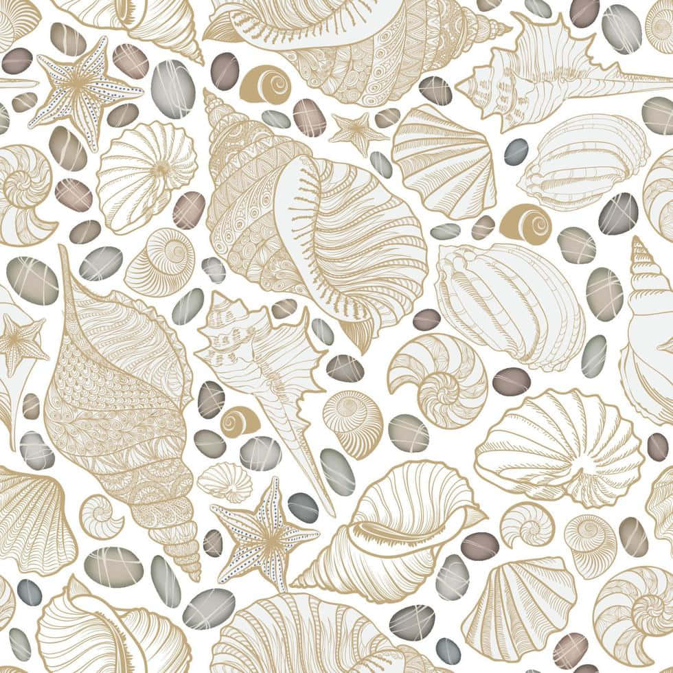 Beige Aesthetic Seashell Art Wallpaper