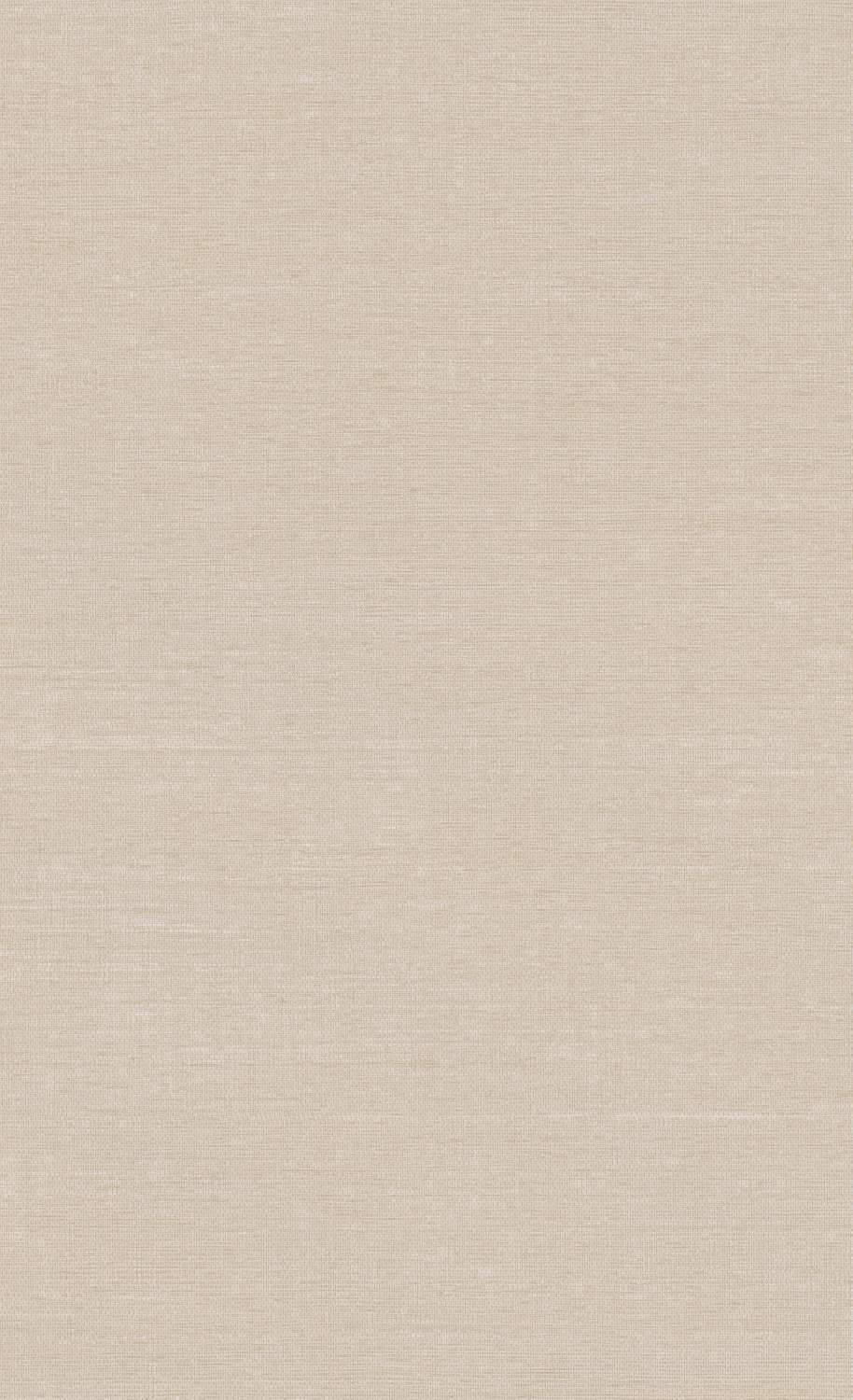 Beige Minimalist Hue For Design Wallpaper