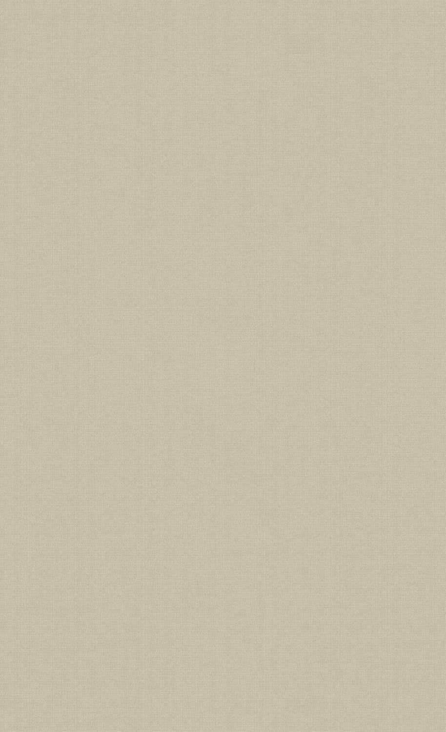 Beige Minimalist Hue Wallpaper