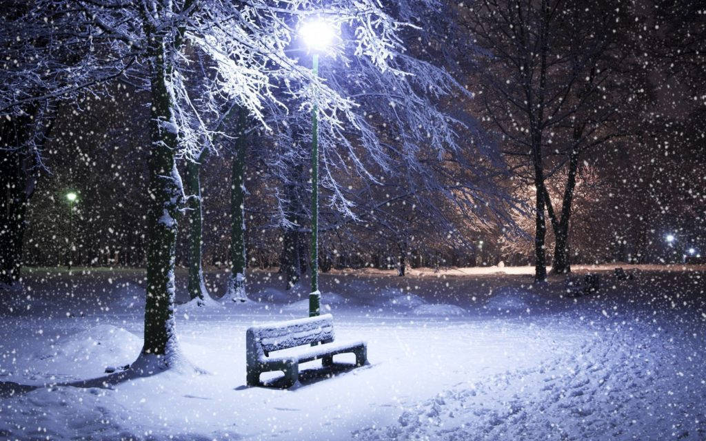 Bench At Park Winter Desktop Wallpaper