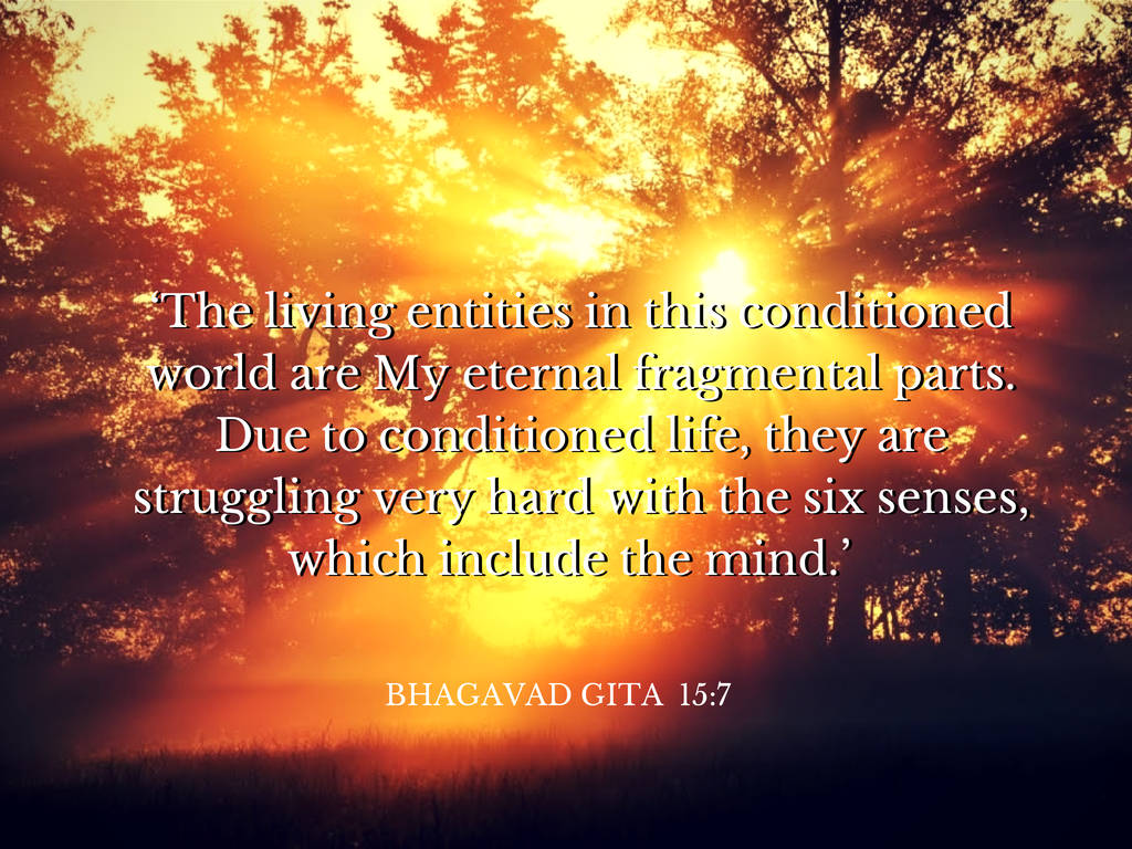 Bhagavad Gita Chapter 15 Verse 7 Wallpaper