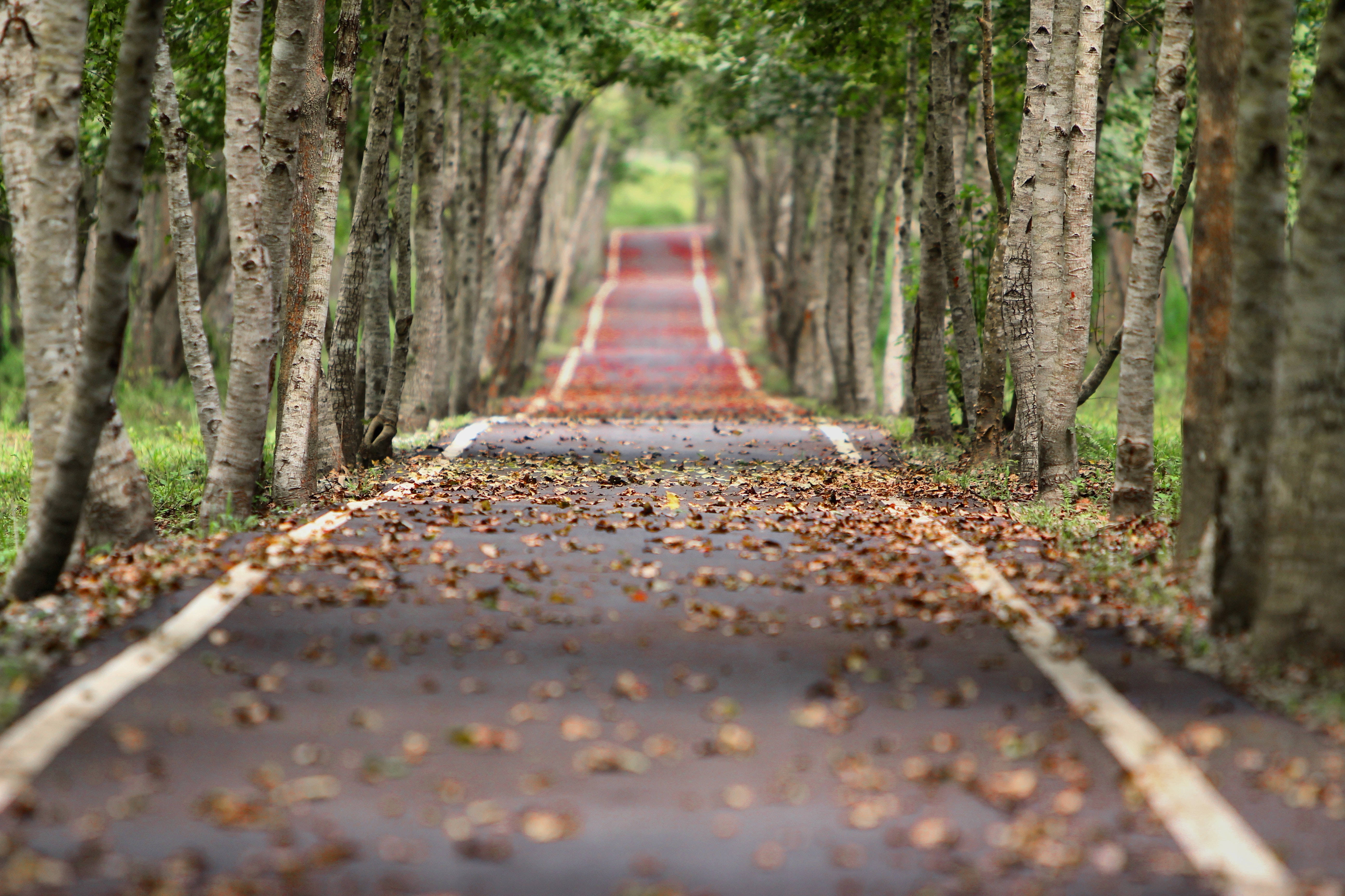 Big 3d Desktop Empty Road Wallpaper