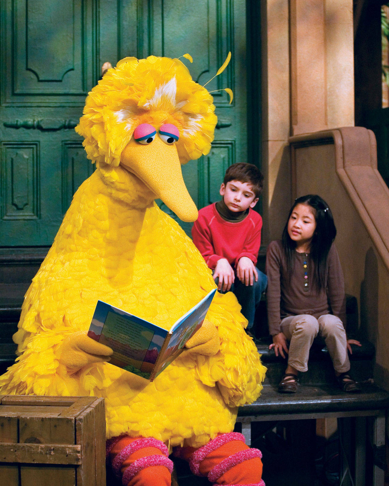 Big Bird Storytelling Wallpaper