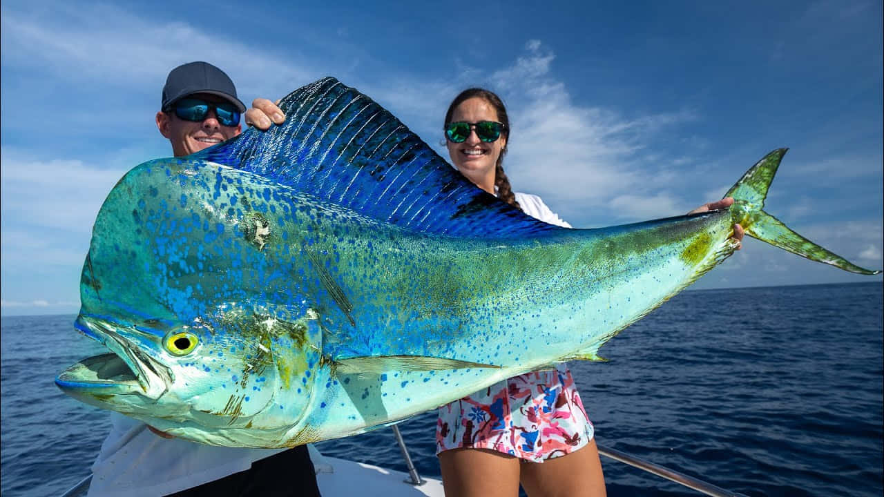 Big Catch Mahi Mahi Fishing Trip Wallpaper