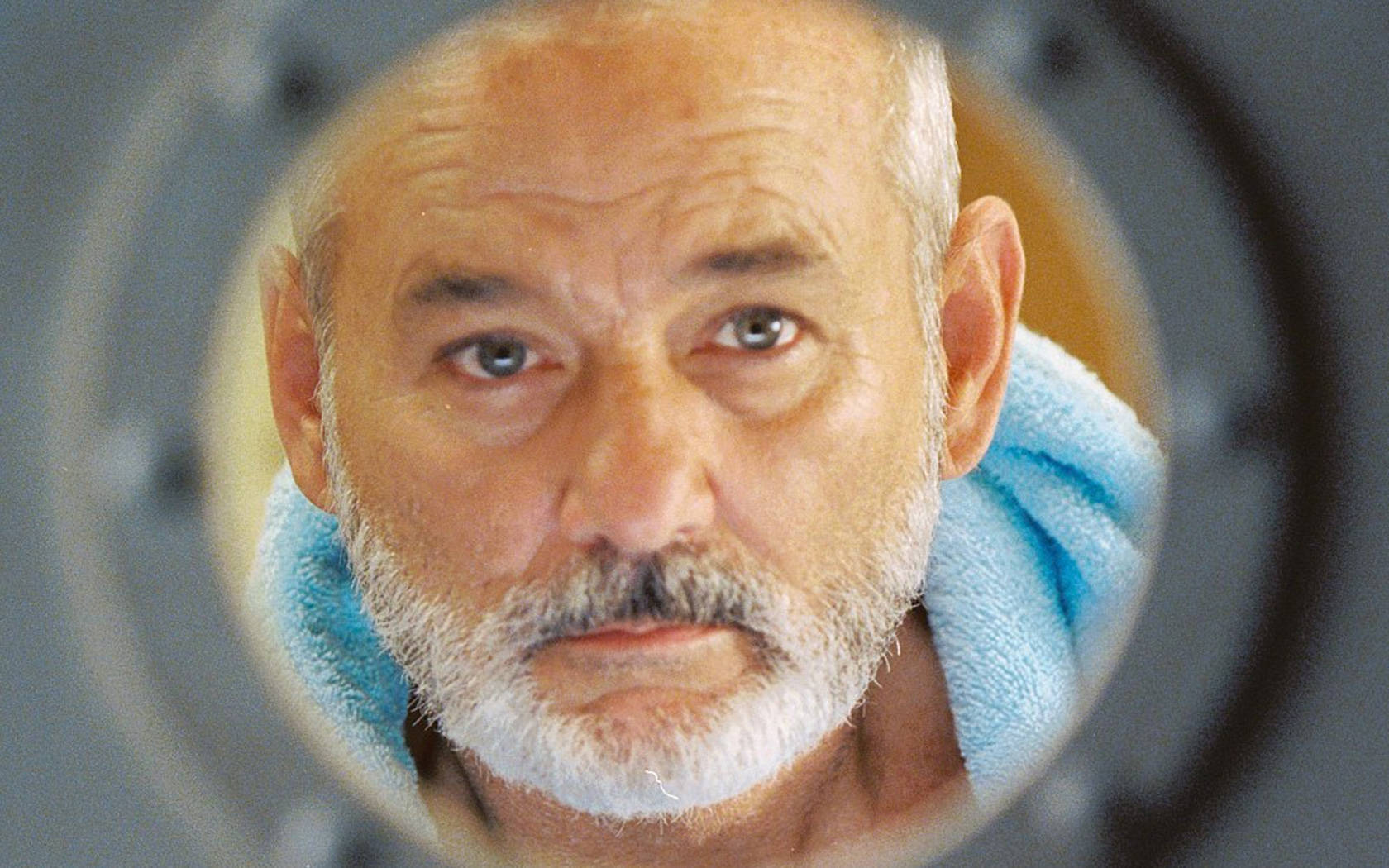 Bill Murray The Life Aquatic With Steve Zissou Wallpaper