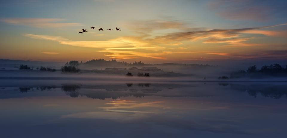 Birds Flying In Nature During Sunset Wallpaper