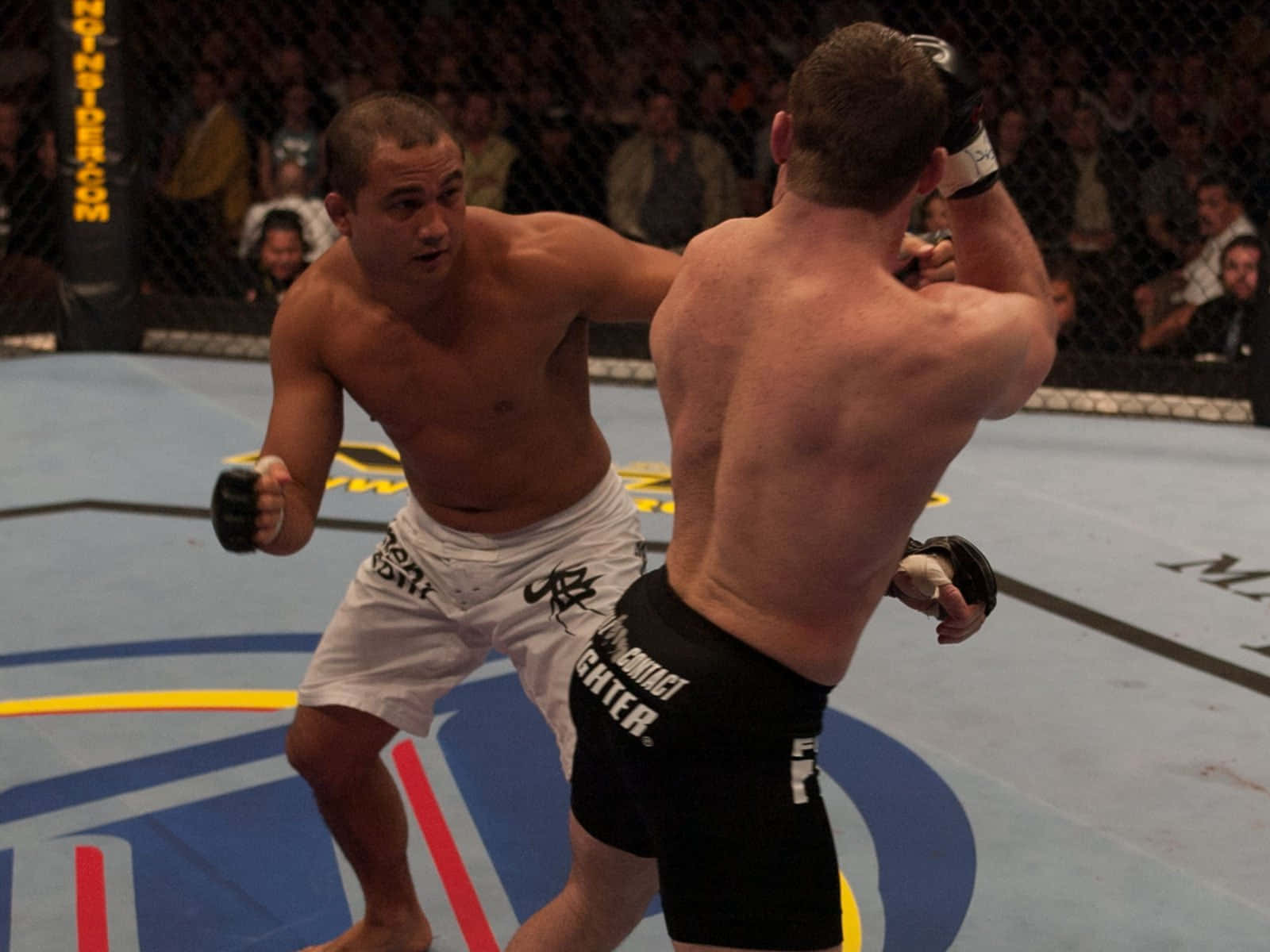Bj Penn Against Matt Hughes Ufc 46 2004 Wallpaper