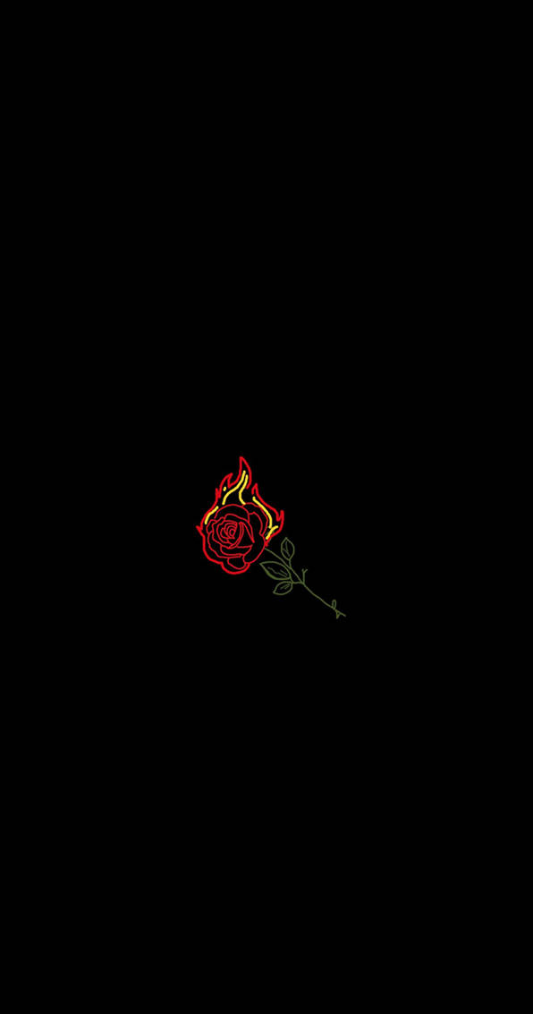 Black Aesthetic Iphone Blazing Rose Wallpaper