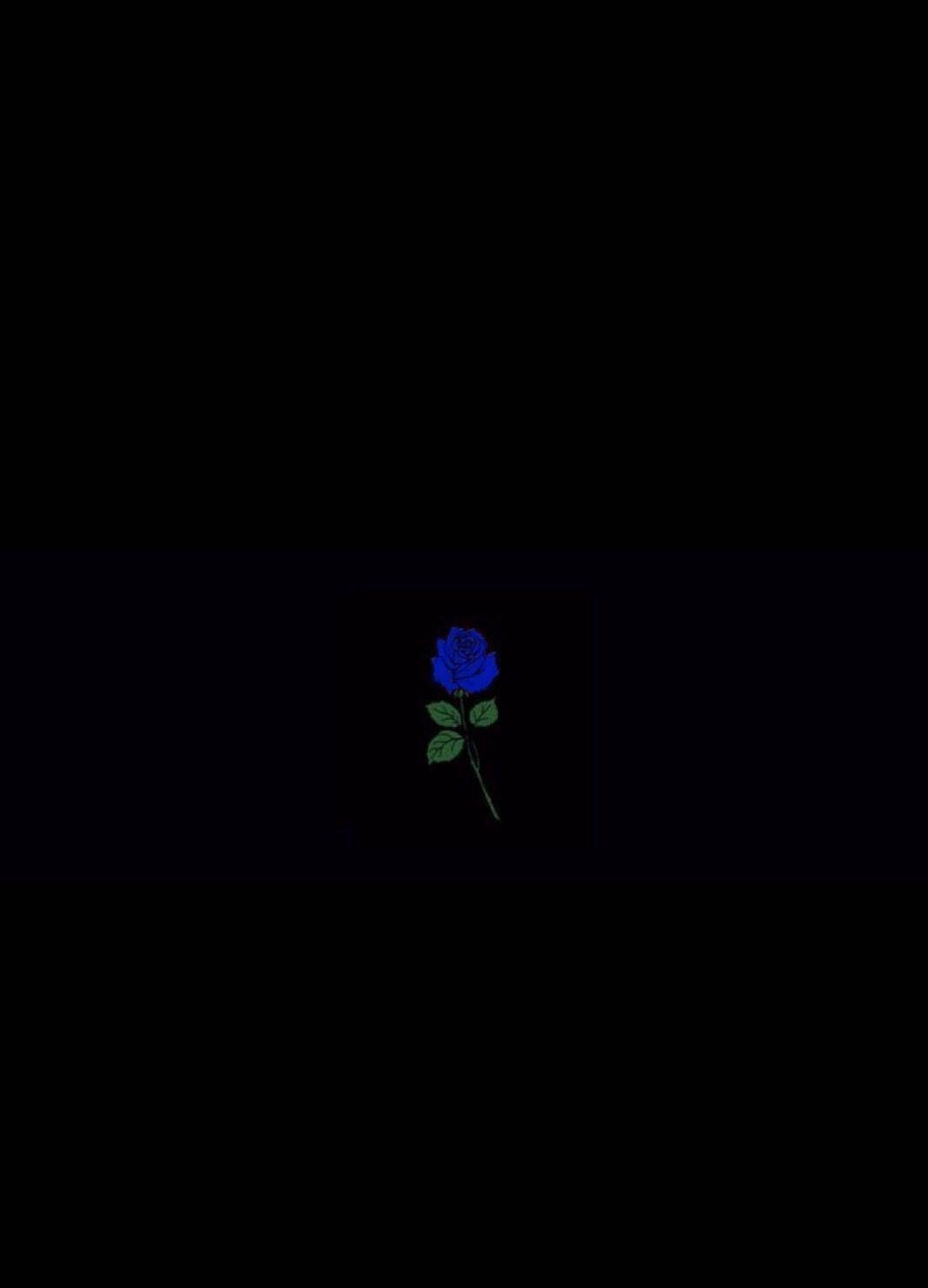 Black Aesthetic Phone Little Blue Rose Wallpaper