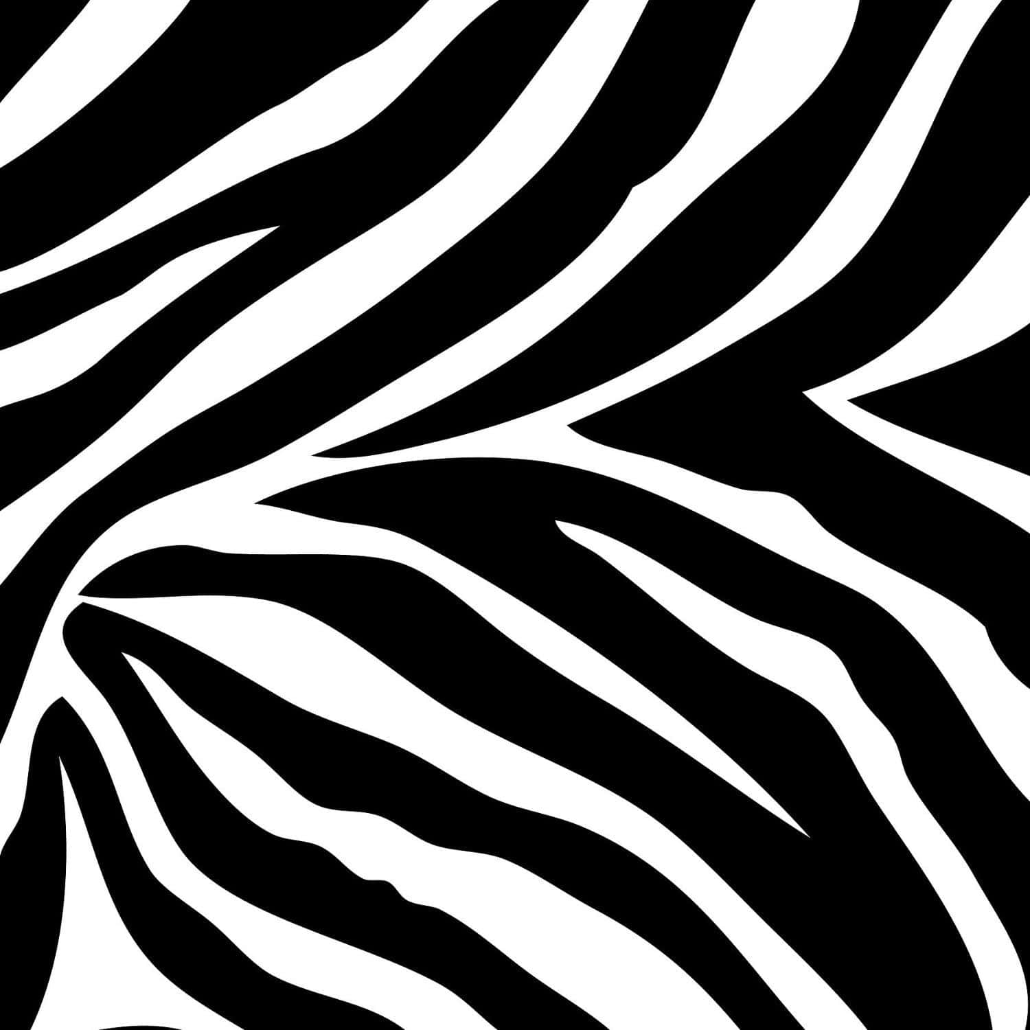 Black And White Animal Print - Taking Style To The Wild Wallpaper