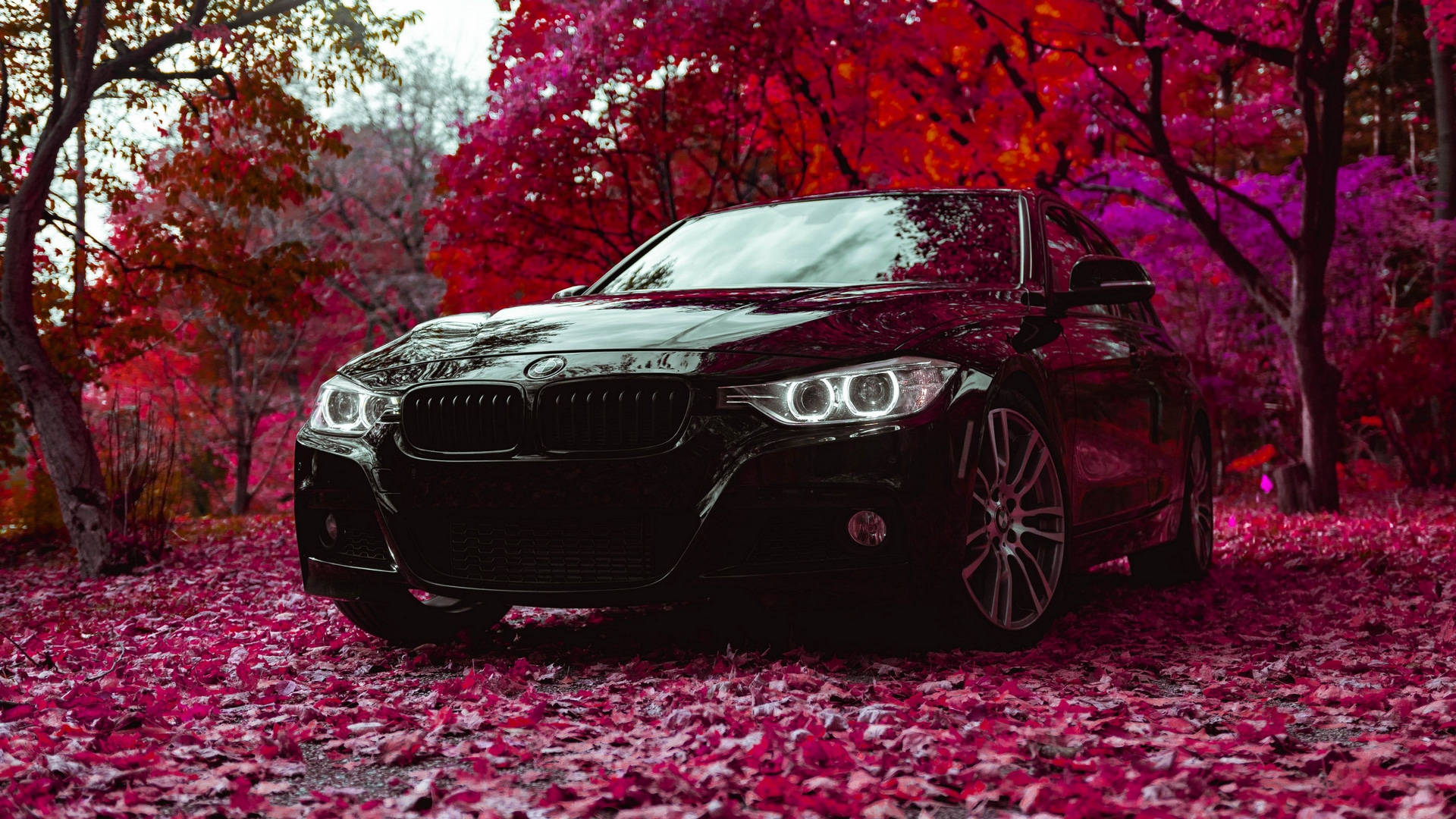 Black F30 Full Hd Bmw Wallpaper