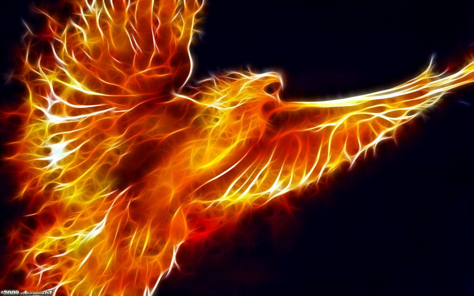 Blazing Wings Wallpaper