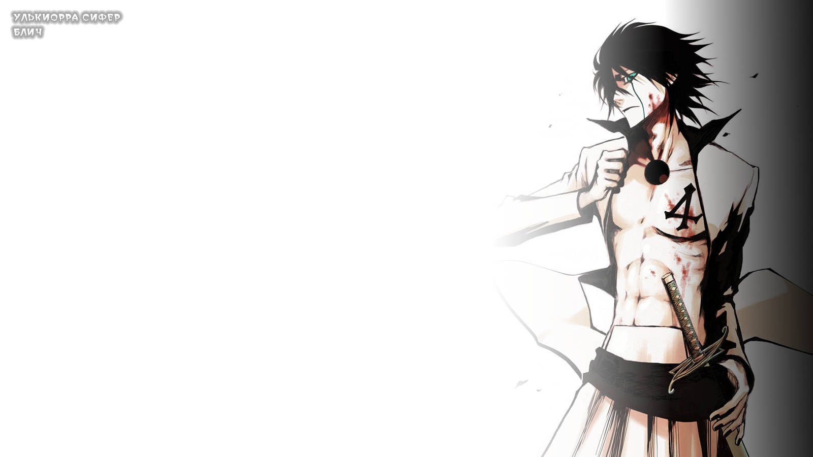 Bleach Anime Bloody Ulquiorra Cifer Wallpaper